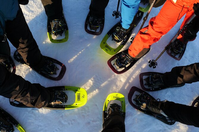 Guided easy snowshoeing with a visit to local café - Discover Tromso’s Snowy Serenity with Guided Easy Snowshoeing and Cafe Visits