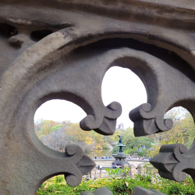 Guided Economy Pedicab Tour in Central Park - How This Tour Compares to Other Central Park Experiences