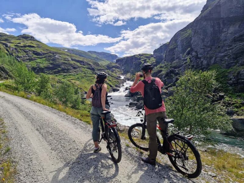 Guided, electric bicycle tour from Vatnahalsen (near Flam) - Discover the Charm of a Guided Electric Bicycle Tour from Vatnahalsen