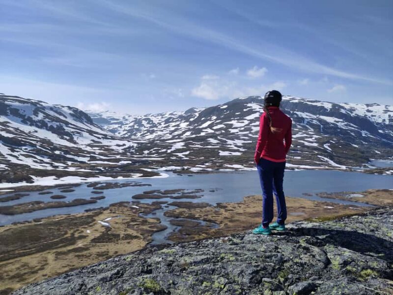 Guided, electric bicycle tour from Vatnahalsen (near Flam) - The Return Journey to Vatnahalsen and Optional Extras