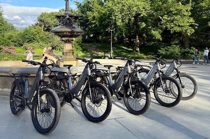 Guided Electric Bike Tour of Central Park in New York City - Price and Value for Money