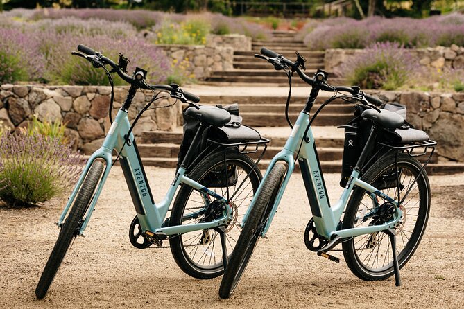 Guided Electric Bike Wine Tour Through Sonoma County - The Comfort and Convenience of Electric Bikes