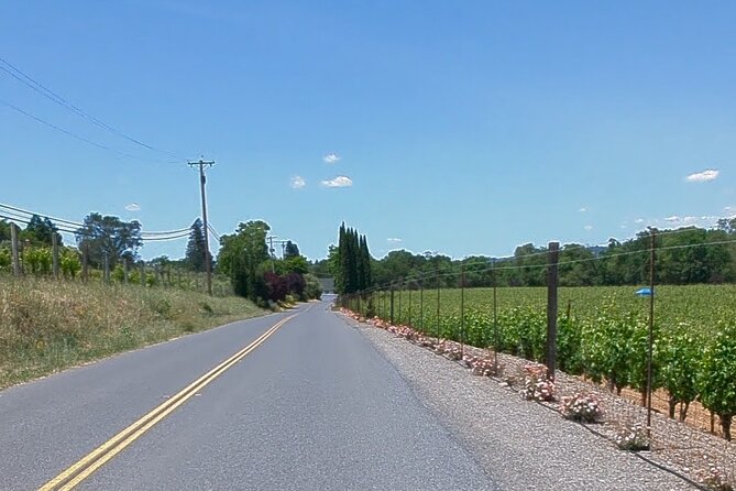 Guided Electric Bike Wine Tour Through Sonoma County - The Gourmet Picnic and Food Options