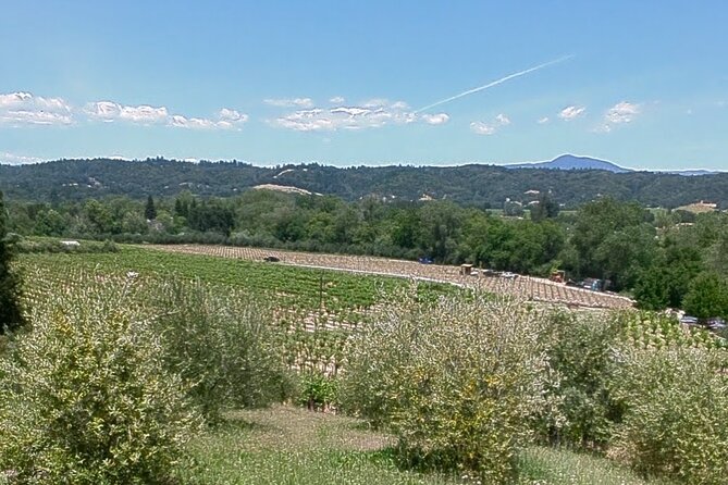 Guided Electric Bike Wine Tour Through Sonoma County - Practical Details and Booking Information
