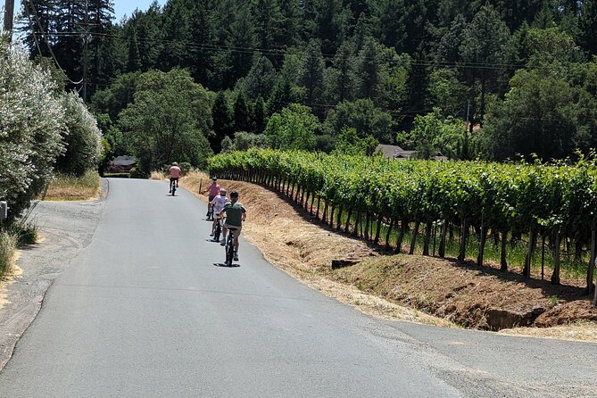 Guided Electric Bike Wine Tour Through Sonoma County - Why This Tour Outshines Other Sonoma Experiences