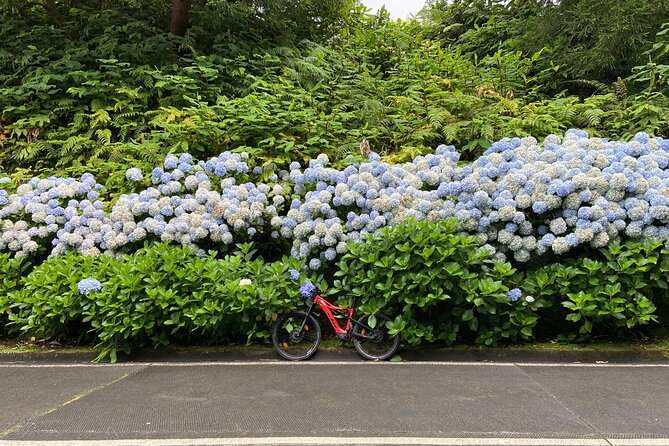 Guided Electric Mountain Bike in Sete Cidades - Key Points