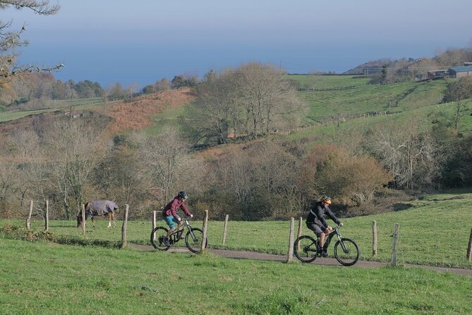 Guided Electric Mountain Bike Tour in Gipuzkoa - The Role of the Guide and Tour Customization