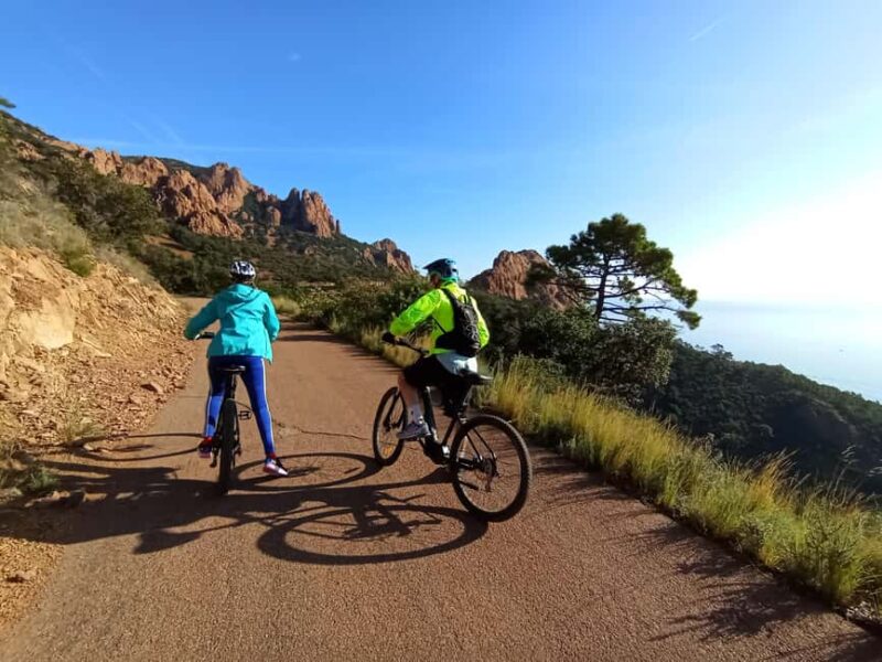Guided electric mountain bike tour of the Estérel Massif - The Guide and Explanations About Natural History