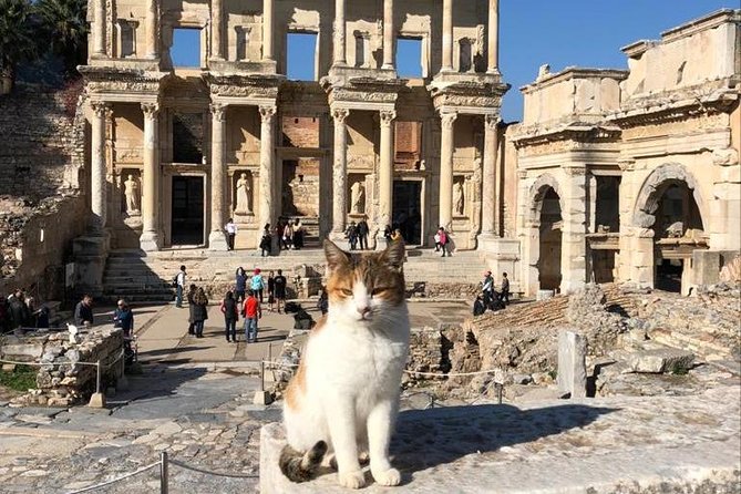 Guided Ephesus Tour From Kusadasi Cruise Port - Practical Details: Meeting Point and Physical Requirements