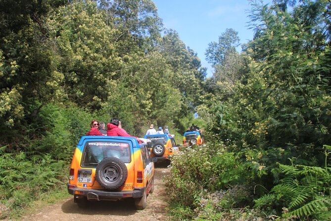 Guided Exploration of Southwest Madeira in a 4x4 - Starting from Funchal with Convenient Pickup