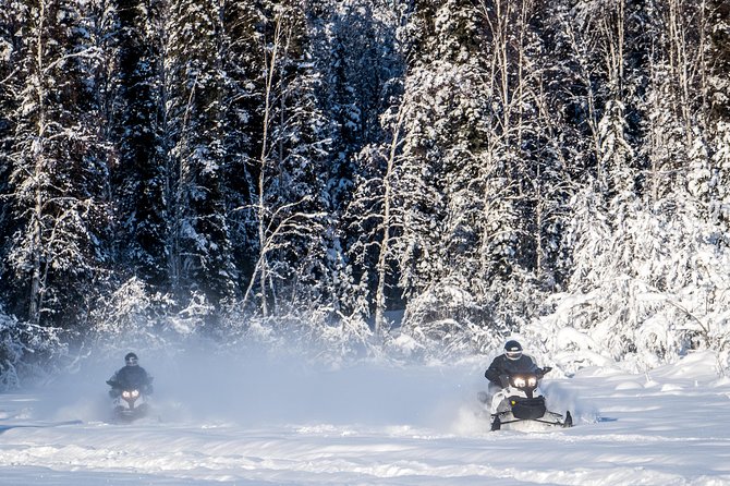 Guided Fairbanks Snowmobile Tour - What Makes This Snowmobile Tour Stand Out