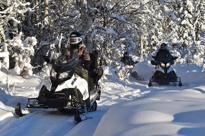 Guided Fairbanks Snowmobile Tour - Suitable for All Ages and Experience Levels