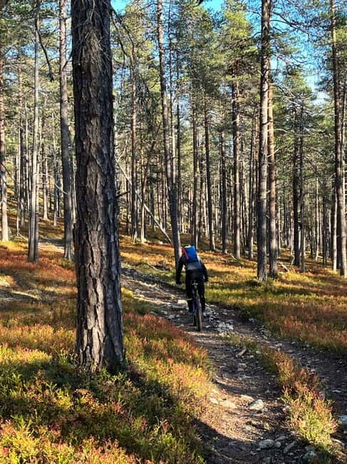 Guided Fatbike Tour in Ivalo - Guided Fatbike Tour in Ivalo: Explore Lapland on Two Wheels