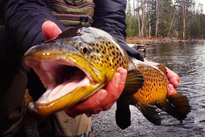 Guided Fishing Trip in Jackson Hole - All-Inclusive Experience: Gear, Lunch, and Drinks