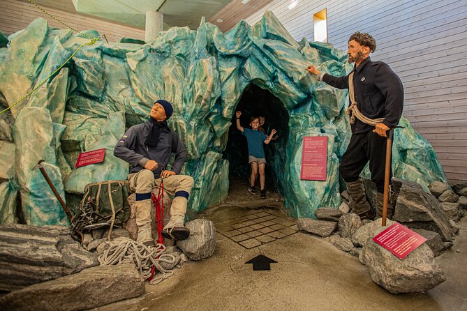 Guided Fjord & Glacier Tour - From BERGEN - Discovering the Boyabreen Glacier