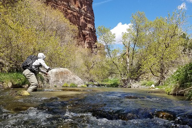 Guided Fly Fishing Experience in Park City - Meeting Point and Accessibility