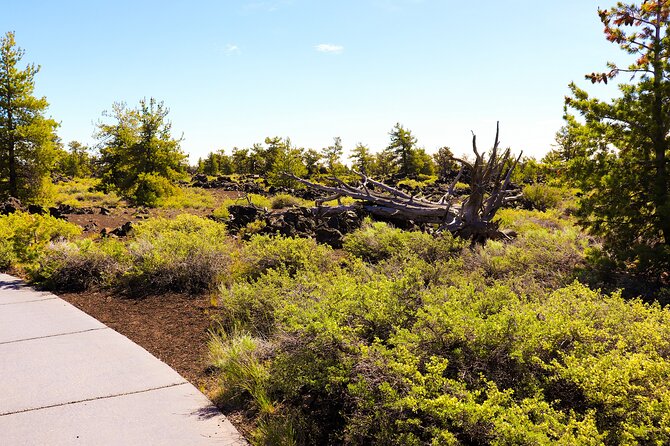 Guided Full-Day Tour to Craters of the Moon National Monument & Preserve - Visiting the Iconic I. B. Perrine Memorial Bridge and Snake River Canyon