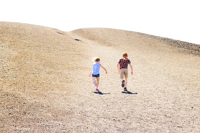 Guided Full-Day Tour to Craters of the Moon National Monument & Preserve - Convenience, Food, and Additional Amenities