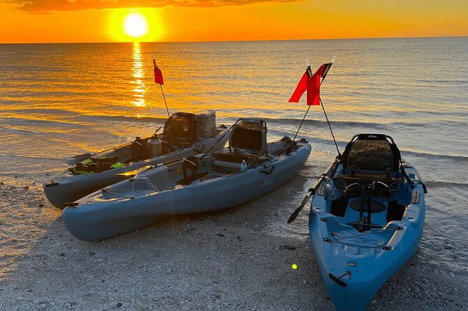 Guided Glow LED Kayak Sunset Activity in Bonita Springs - Key Points