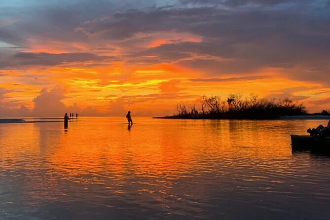 Guided Glow LED Kayak Sunset Activity in Bonita Springs - The Wildlife Encounters and Photo Opportunities