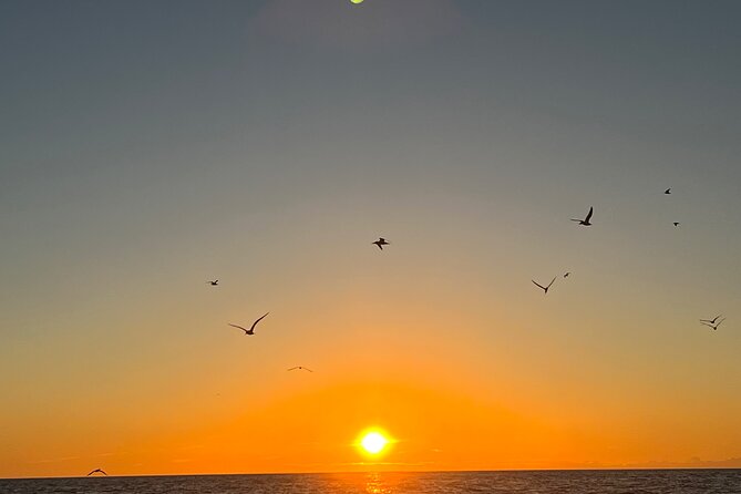 Guided Glow LED Kayak Sunset Activity in Bonita Springs - Suitability and Physical Considerations