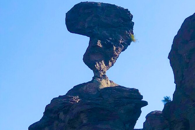 Guided Half-Day Scenic Tour - Off The Beaten Path - Discovering Fossils at Hagerman Fossil Beds National Monument