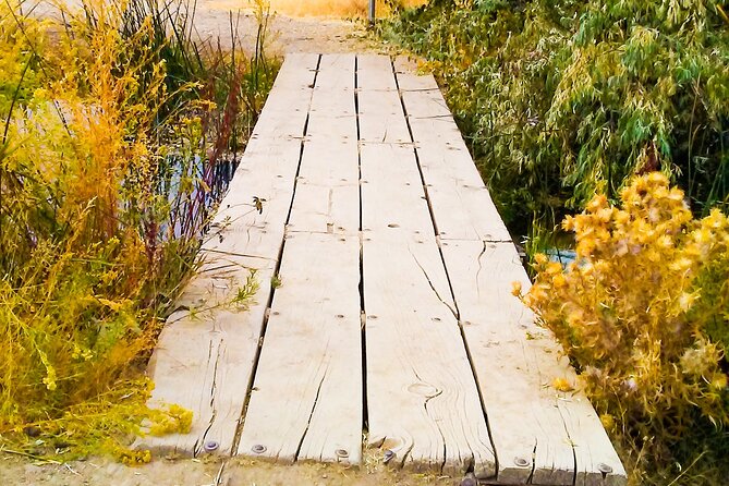 Guided Half-Day Tour to Dierkes Lake & Shoshone Falls - Highlights of the Tour Experience