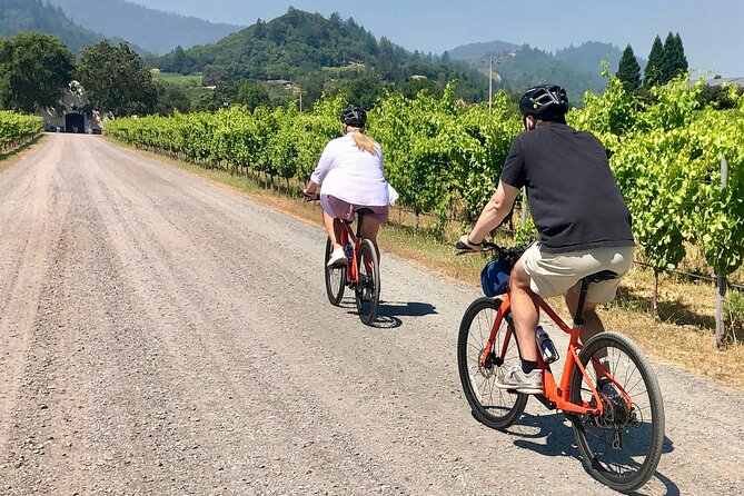 Guided Healdsburg Wine Country Bike and Wine Tasting Tour with lunch - Key Points