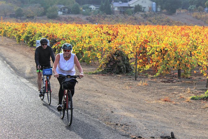 Guided Healdsburg Wine Country Bike and Wine Tasting Tour with lunch - Picnic Lunch Among the Vineyards: A Highlight of the Day