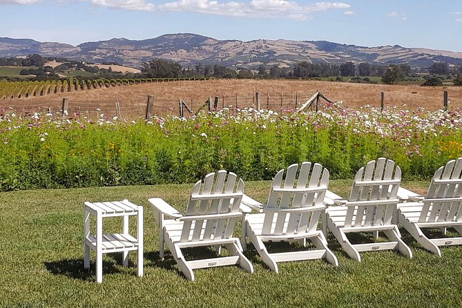 Guided Healdsburg Wine Country Bike and Wine Tasting Tour with lunch - Physical Requirements and Accessibility