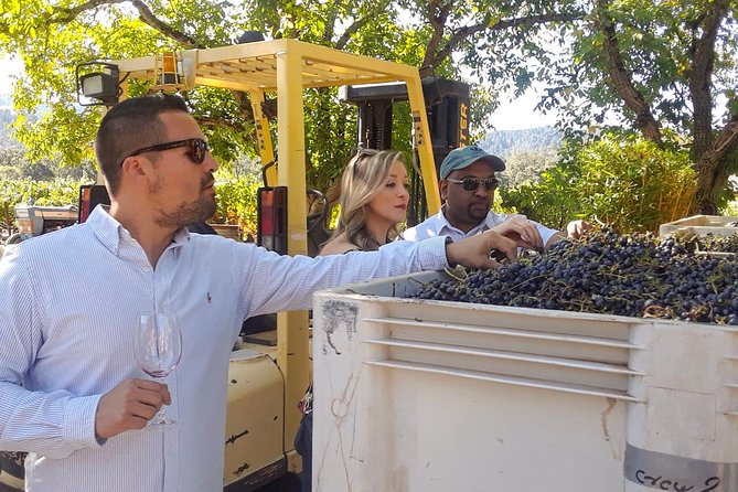 Guided Healdsburg Wine Country Bike and Wine Tasting Tour with lunch - What Makes This Tour Stand Out from Others