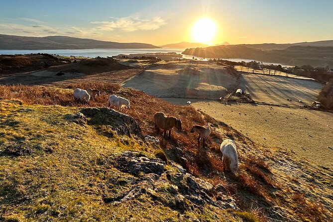 Guided Hebridean Farm Hike near Tobermory, Isle of Mull, Scotland - A Personal Touch from a Passionate Local Guide