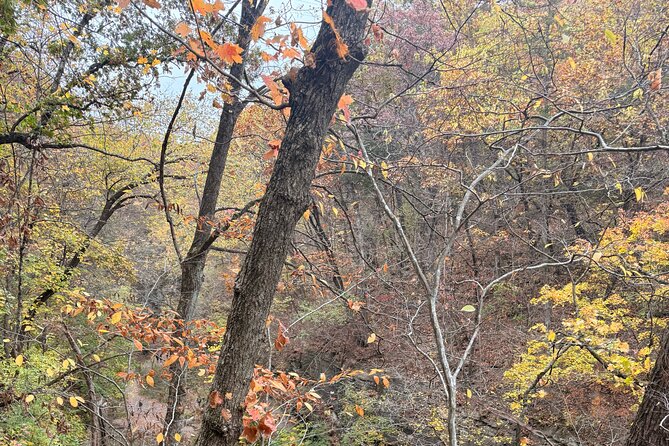 Guided Hike at Starved Rock and Matthiessen Park - Starting the Adventure at Starved Rock State Park