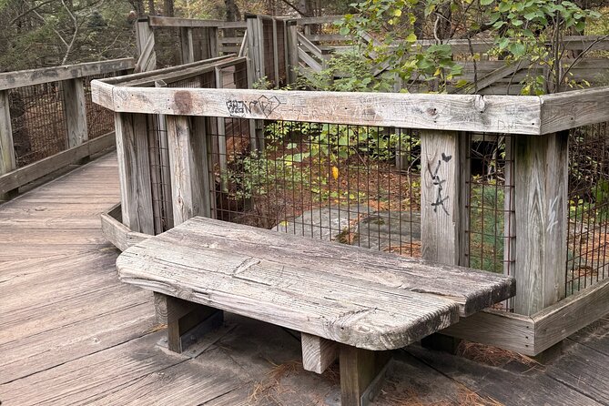 Guided Hike at Starved Rock and Matthiessen Park - Practical Details: Meeting Point and Schedule