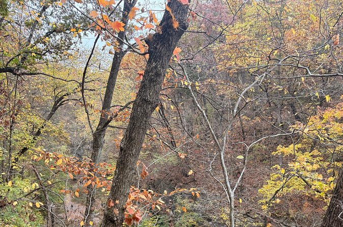 Guided Hike at Starved Rock and Matthiessen Park - Flexibility and Weather Considerations