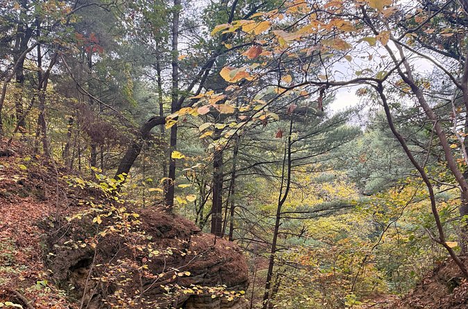 Guided Hike at Starved Rock and Matthiessen Park - Who Will Enjoy This Tour the Most?