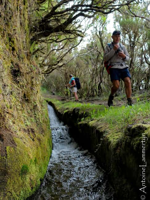 Guided Hike in Madeira - Key Points