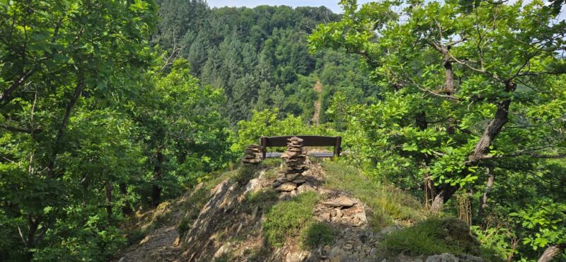 Guided hike on the "Hasenkammer" dream loop - From Orchard Meadows to the Quarry and Forests