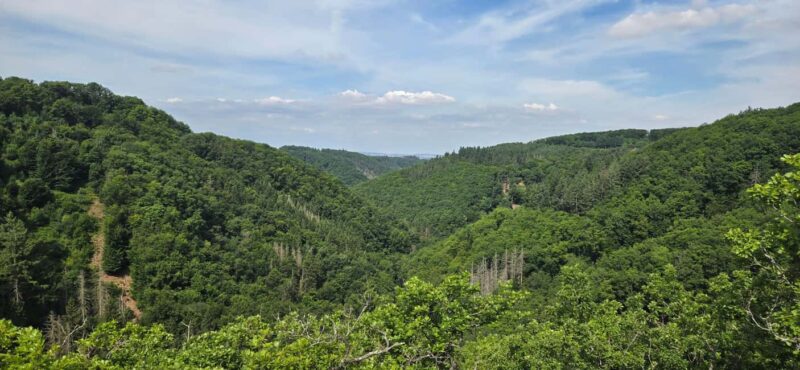 Guided hike on the "Hasenkammer" dream loop - Udenhausen Switzerland: A Viewpoint with a Difference