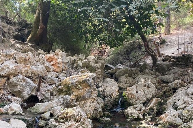 Guided hike to the seven springs from Archangelos - The Path Beyond the Springs and Olive Groves