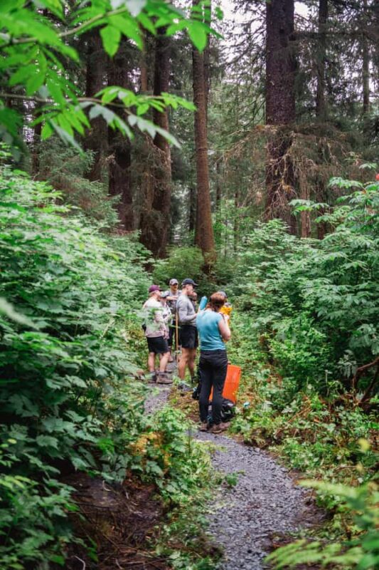 Guided Hike | TONGASS NATIONAL FOREST - The Unique Setting of Tongass National Forest
