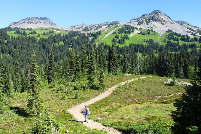 Guided Hiking and Camping Tour - Logistics and Meeting Point