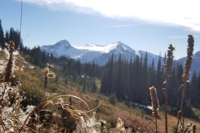 Guided Hiking and Camping Tour - Physical Fitness and Group Size