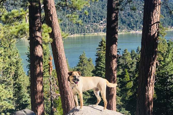 Guided Hiking Tour in Big Bear with Sunset Champagne toast on Private Dock - Scenic Hiking Begins at Cherry Lane in Big Bear Lake