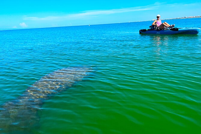 Guided Hobie Kayak EcoTour: Premium Eco Experience Bonita Springs - Discover Bonita Springs with a Guided Hobie Kayak EcoTour