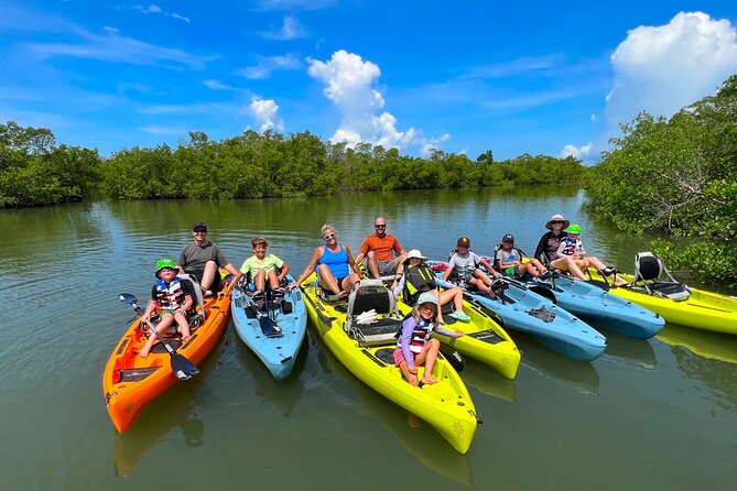 Guided Hobie Kayak EcoTour: Premium Eco Experience Bonita Springs - Key Points