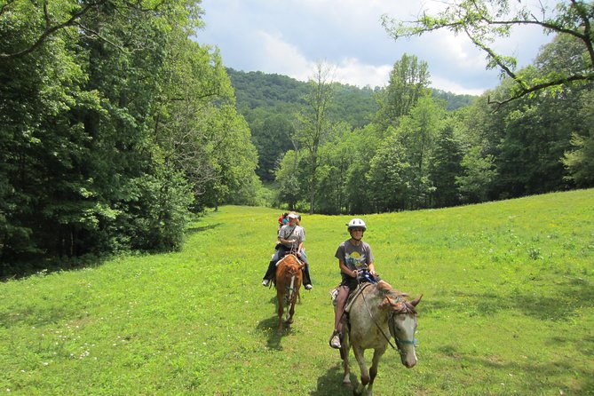 Guided Horseback Ride through Flame Azalea and Fern Forest - Key Points