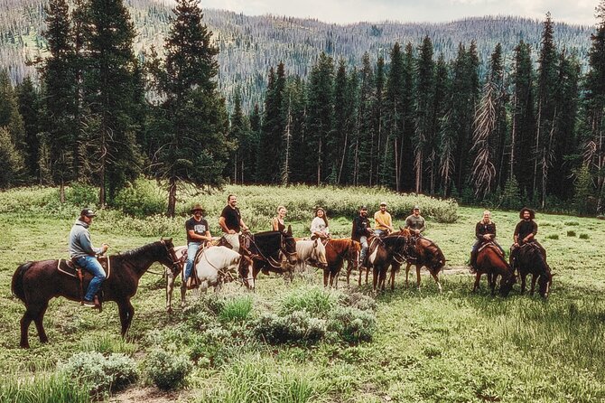 Guided Horseback Trail Rides - Key Points