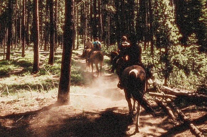 Guided Horseback Trail Rides - The Inclusion of a Light Lunch During the Ride