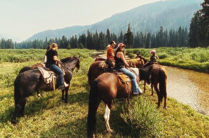 Guided Horseback Trail Rides - Equipment and Horses: Comfort and Safety